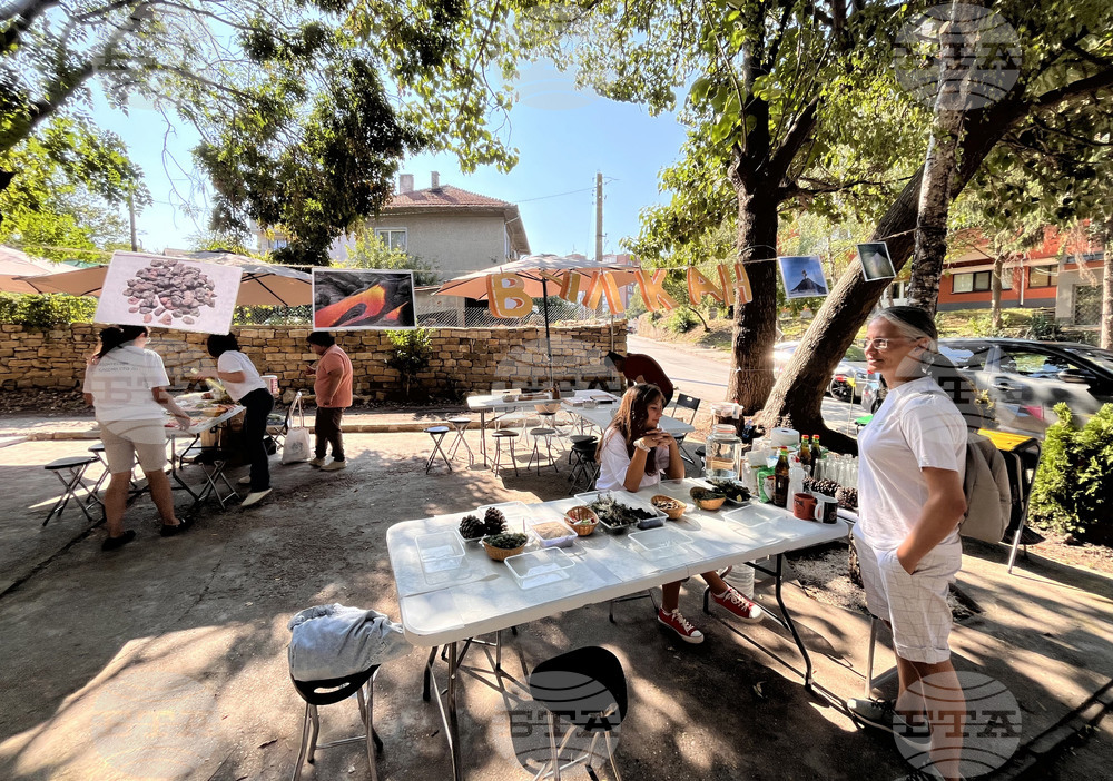 Свищов - Летни Монтесори дни - приложна работилница за учители и творческа работилница за деца