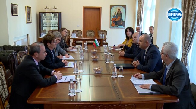 България работи за дългосрочни решения за автономност на енергетиката, заяви Румен Радев на среща с президента на Европейската банка за възстановяване и развитие