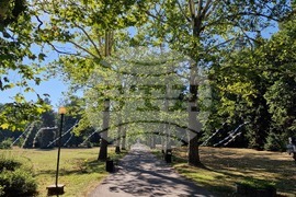 Фестивал "София лайт" - инсталация "Стоманена трева"