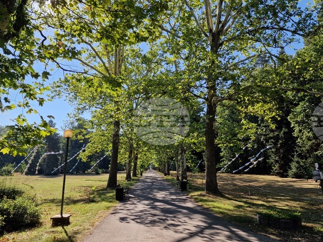 Областният управител на София отново се опитва да прехвърли отговорността за парк "Врана" върху Столична община, заяви зам.-кметът Бобчева