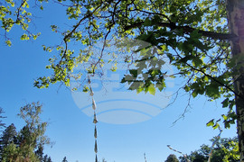 Фестивал "София лайт" - инсталация "Стоманена трева"