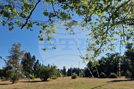 Фестивал "София лайт" - инсталация "Стоманена трева"