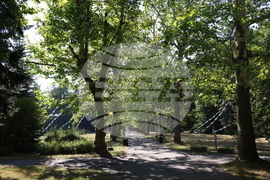 Фестивал "София лайт" - инсталация "Стоманена трева"