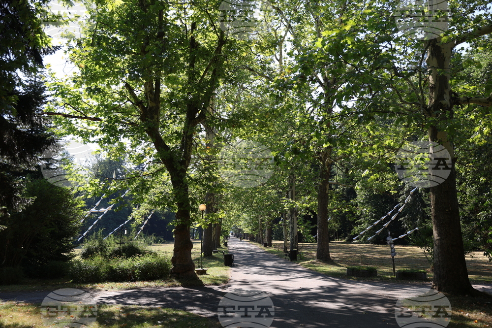 Фестивал "София лайт" - инсталация "Стоманена трева"