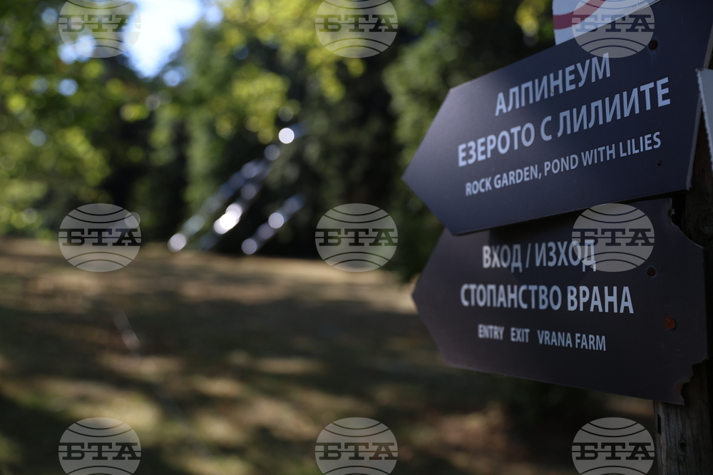 Фестивал "София лайт" - инсталация "Стоманена трева"