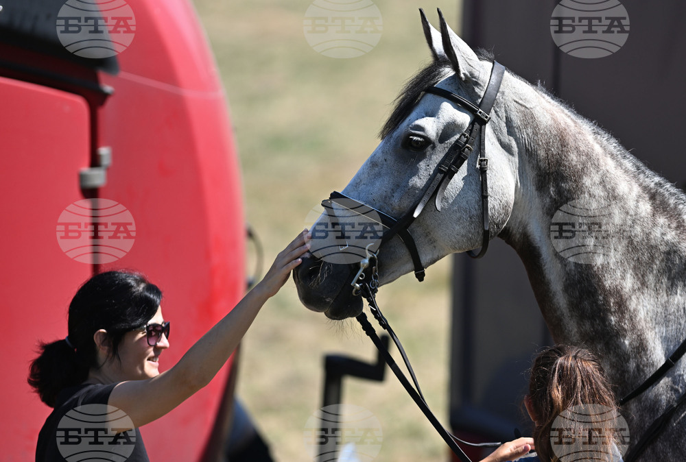 Цар Калоян - Конни състезания "КонкурИпик"
