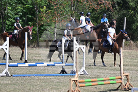 Цар Калоян - Конни състезания "КонкурИпик"