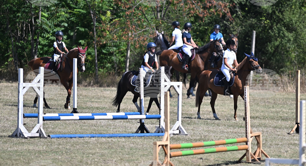Цар Калоян - Конни състезания "КонкурИпик"