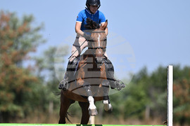 Цар Калоян - Конни състезания "КонкурИпик"
