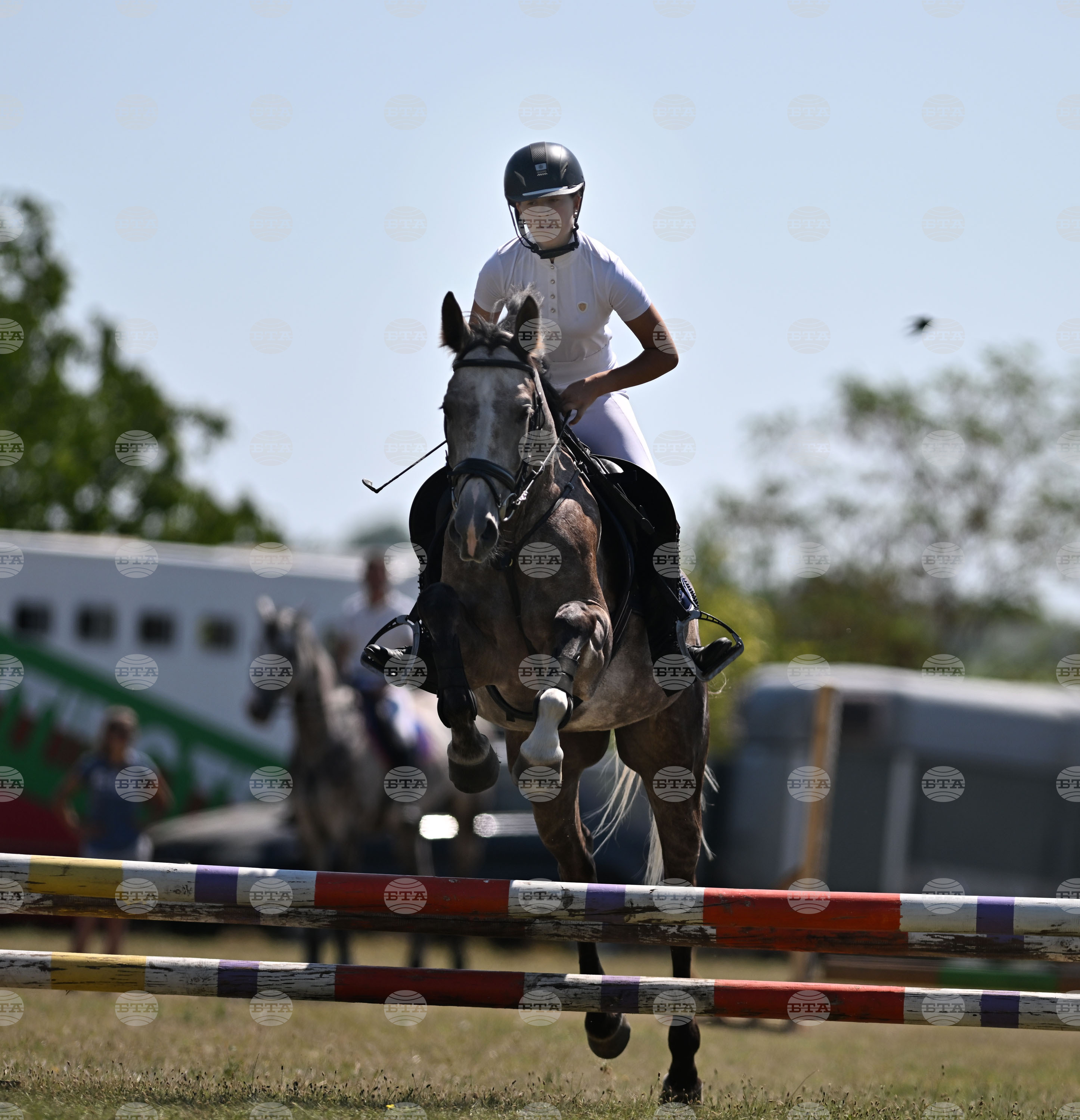 Цар Калоян - Конни състезания "КонкурИпик"