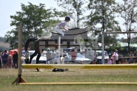 Цар Калоян - Конни състезания "КонкурИпик"