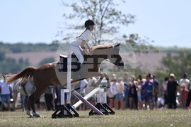 Цар Калоян - Конни състезания "КонкурИпик"