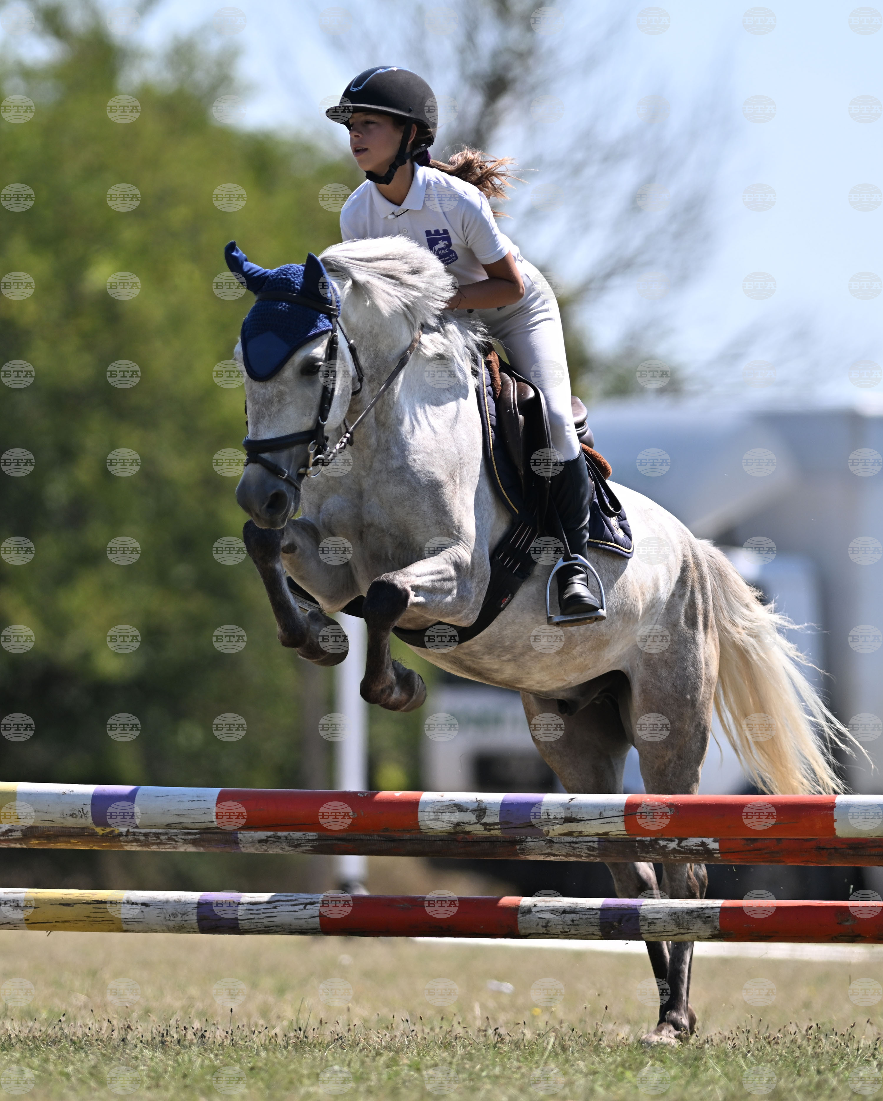 Цар Калоян - Конни състезания "КонкурИпик"