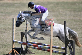 Цар Калоян - Конни състезания "КонкурИпик"