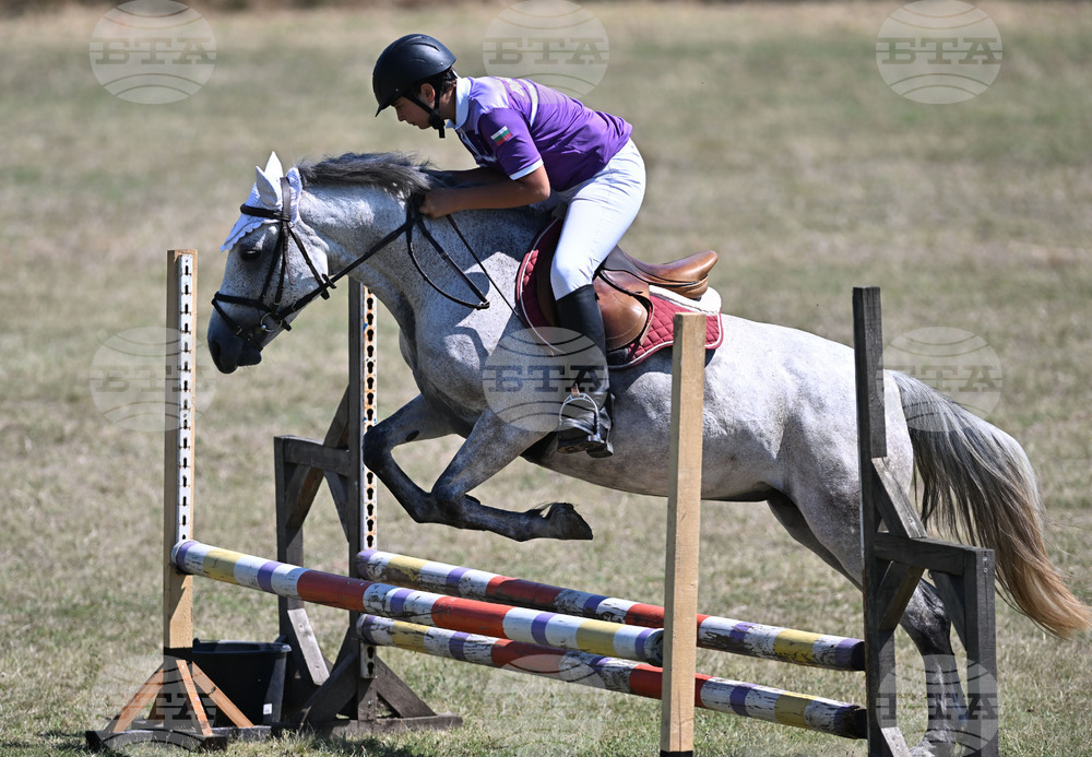 Цар Калоян - Конни състезания "КонкурИпик"