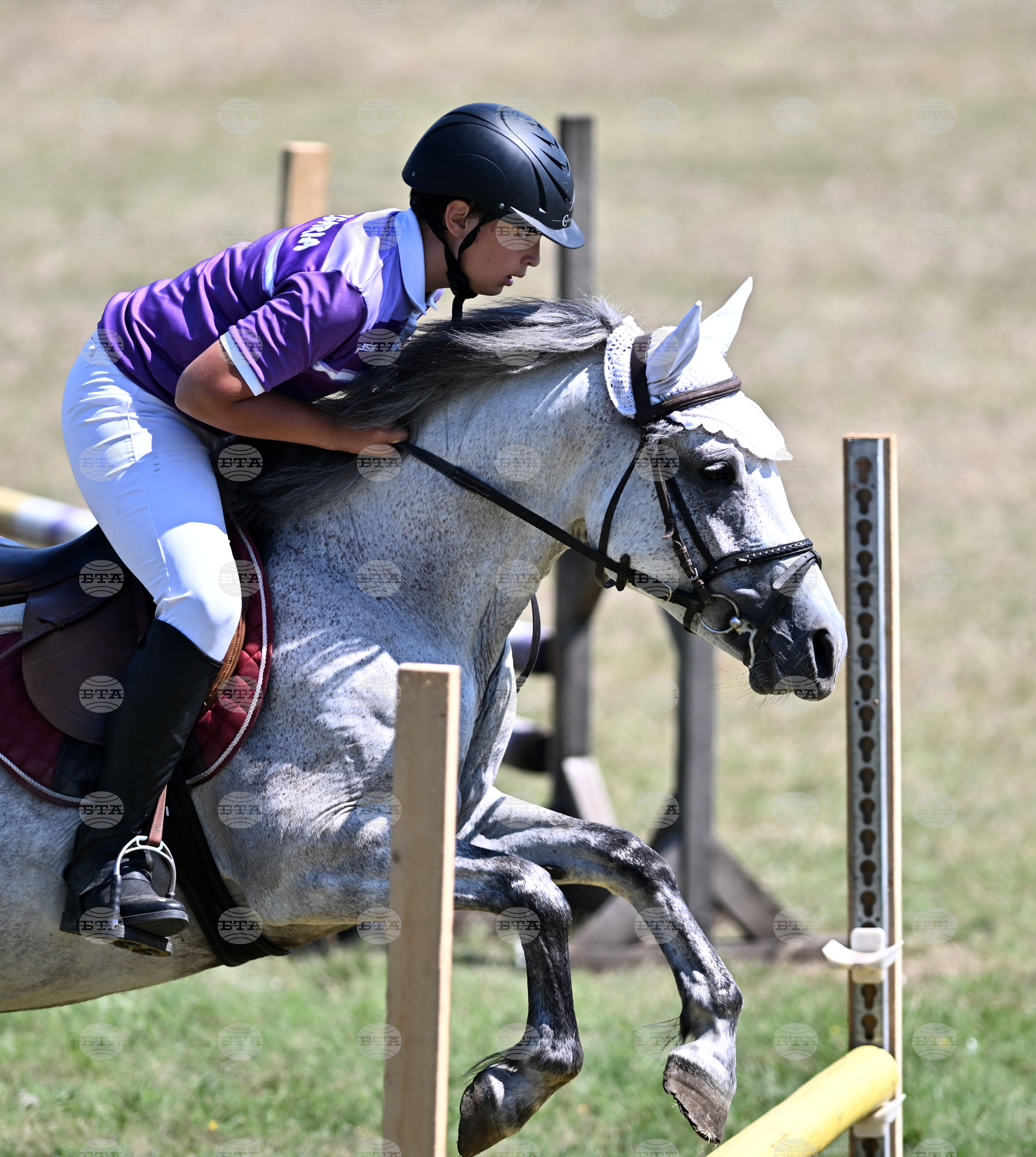 Цар Калоян - Конни състезания "КонкурИпик"