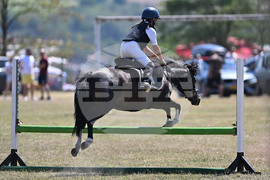 Цар Калоян - Конни състезания "КонкурИпик"