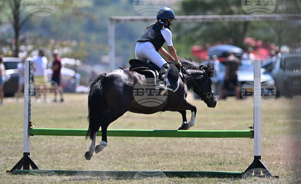 Цар Калоян - Конни състезания "КонкурИпик"