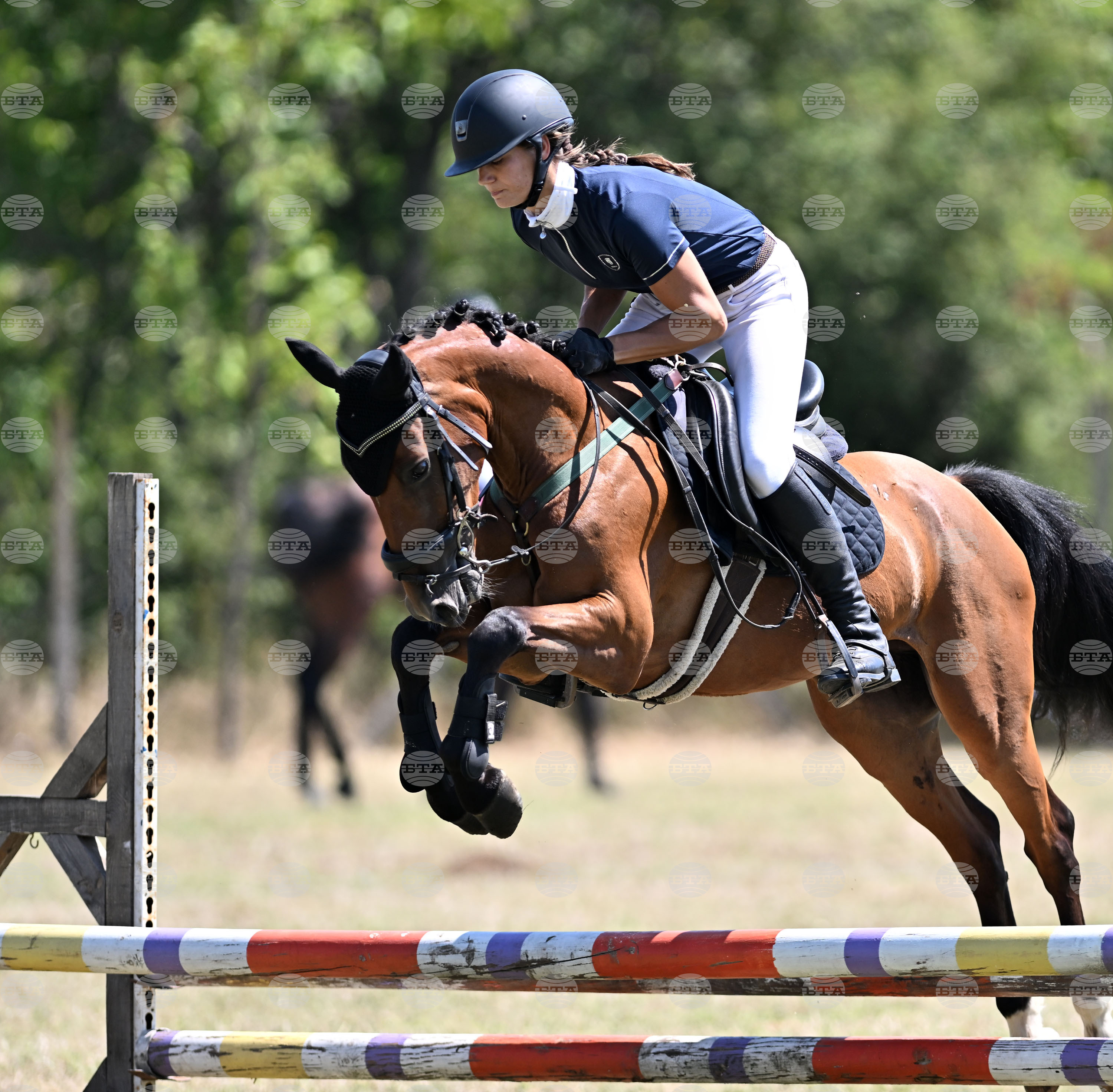 Цар Калоян - Конни състезания "КонкурИпик"