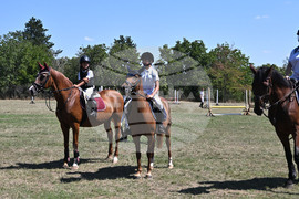 Цар Калоян - Конни състезания "КонкурИпик"