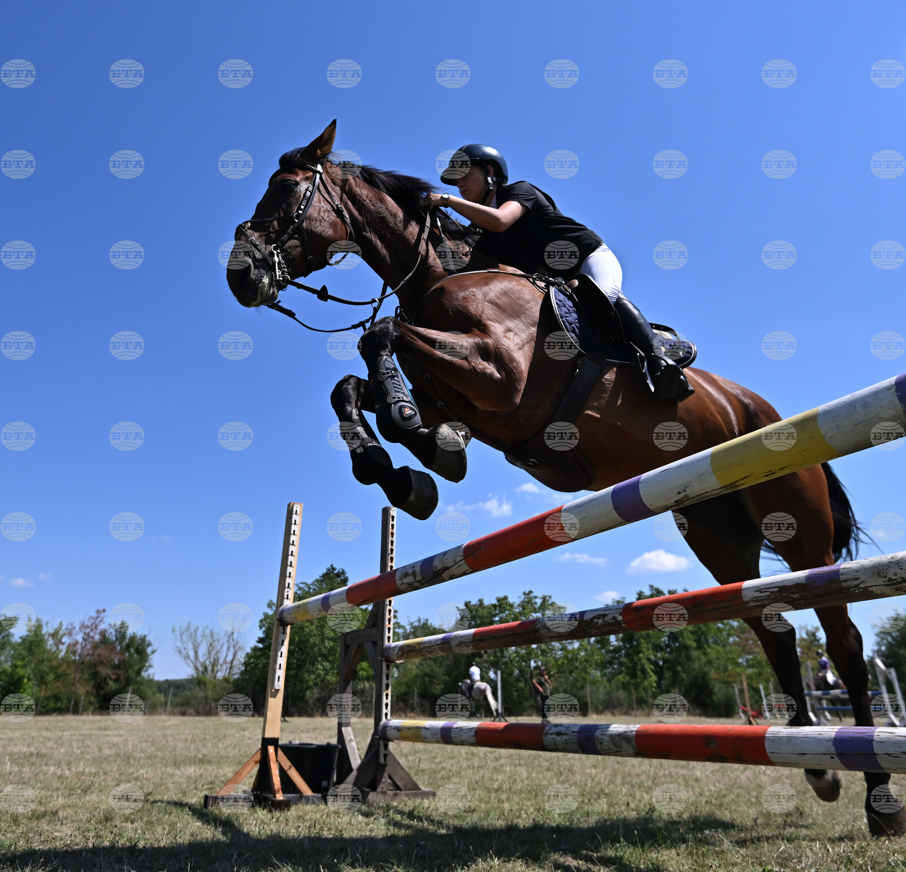 Цар Калоян - Конни състезания "КонкурИпик"
