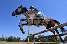 Цар Калоян - Конни състезания "КонкурИпик"