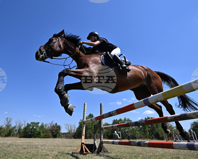 Цар Калоян - конни състезания "КонкурИпик"
