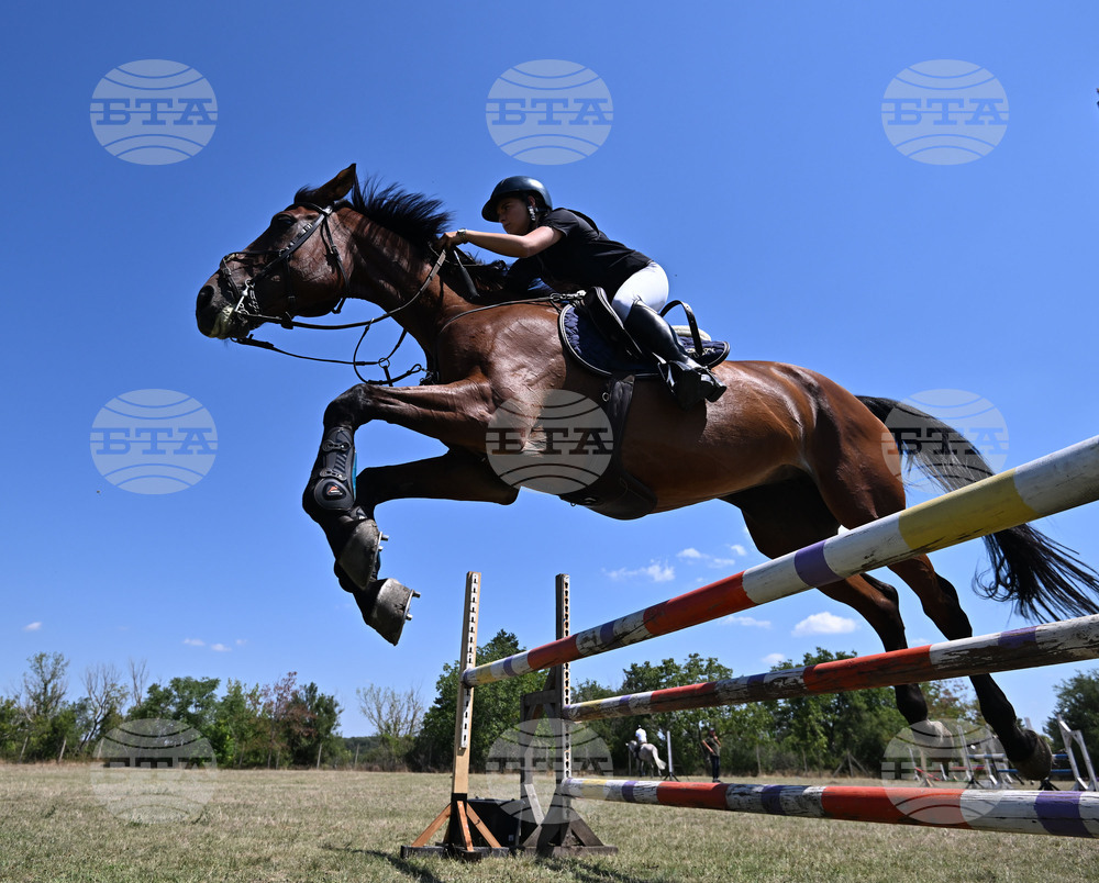 Цар Калоян - Конни състезания "КонкурИпик"