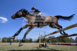 Цар Калоян - Конни състезания "КонкурИпик"