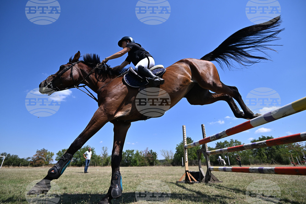 Цар Калоян - Конни състезания "КонкурИпик"
