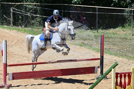 Вършец - конни състезания