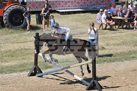Вършец - конни състезания