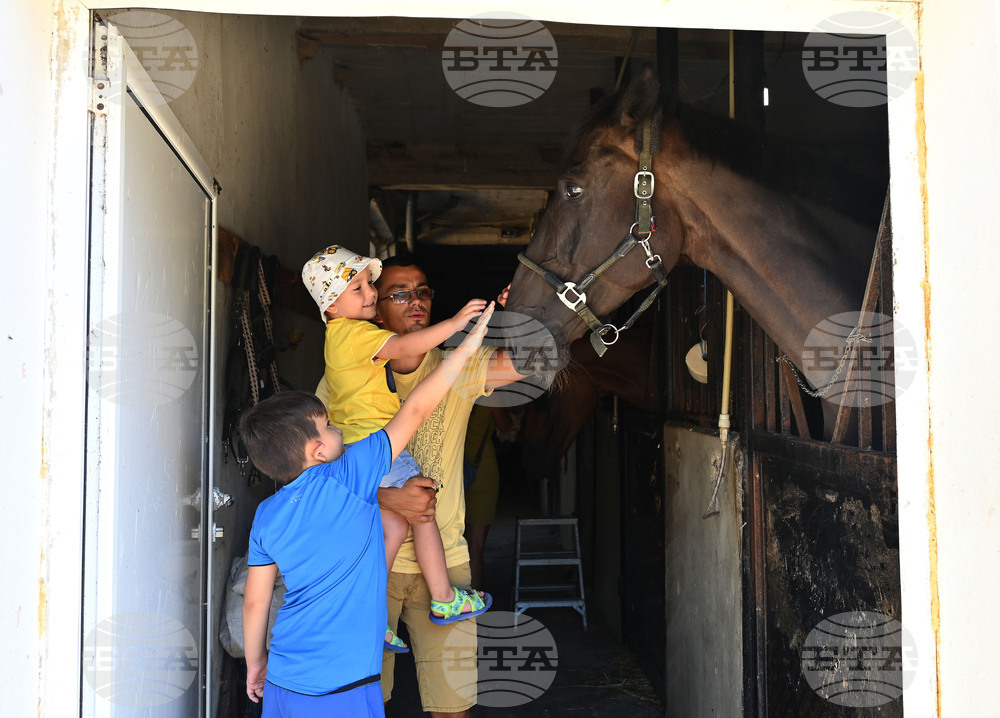Вършец - конни състезания