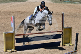 Вършец - конни състезания