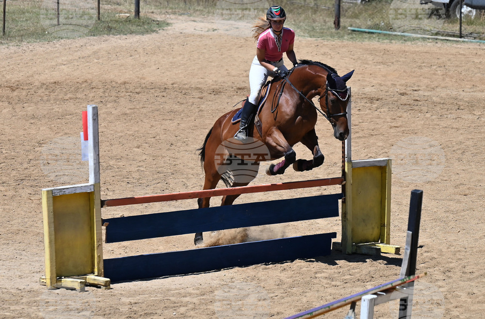 Вършец - конни състезания