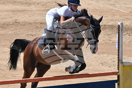 Вършец - конни състезания
