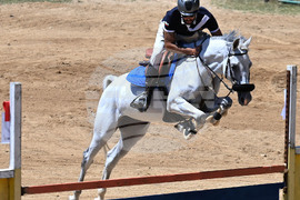 Вършец - конни състезания