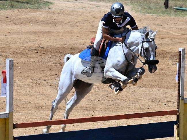 Вършец - конни състезания