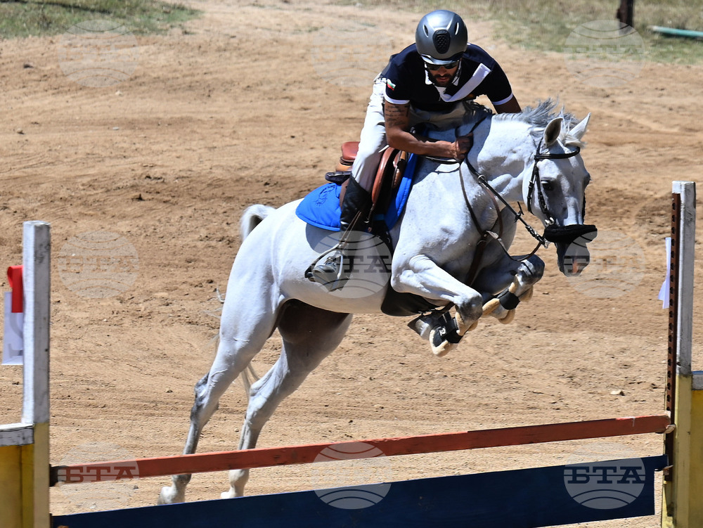 Вършец - конни състезания