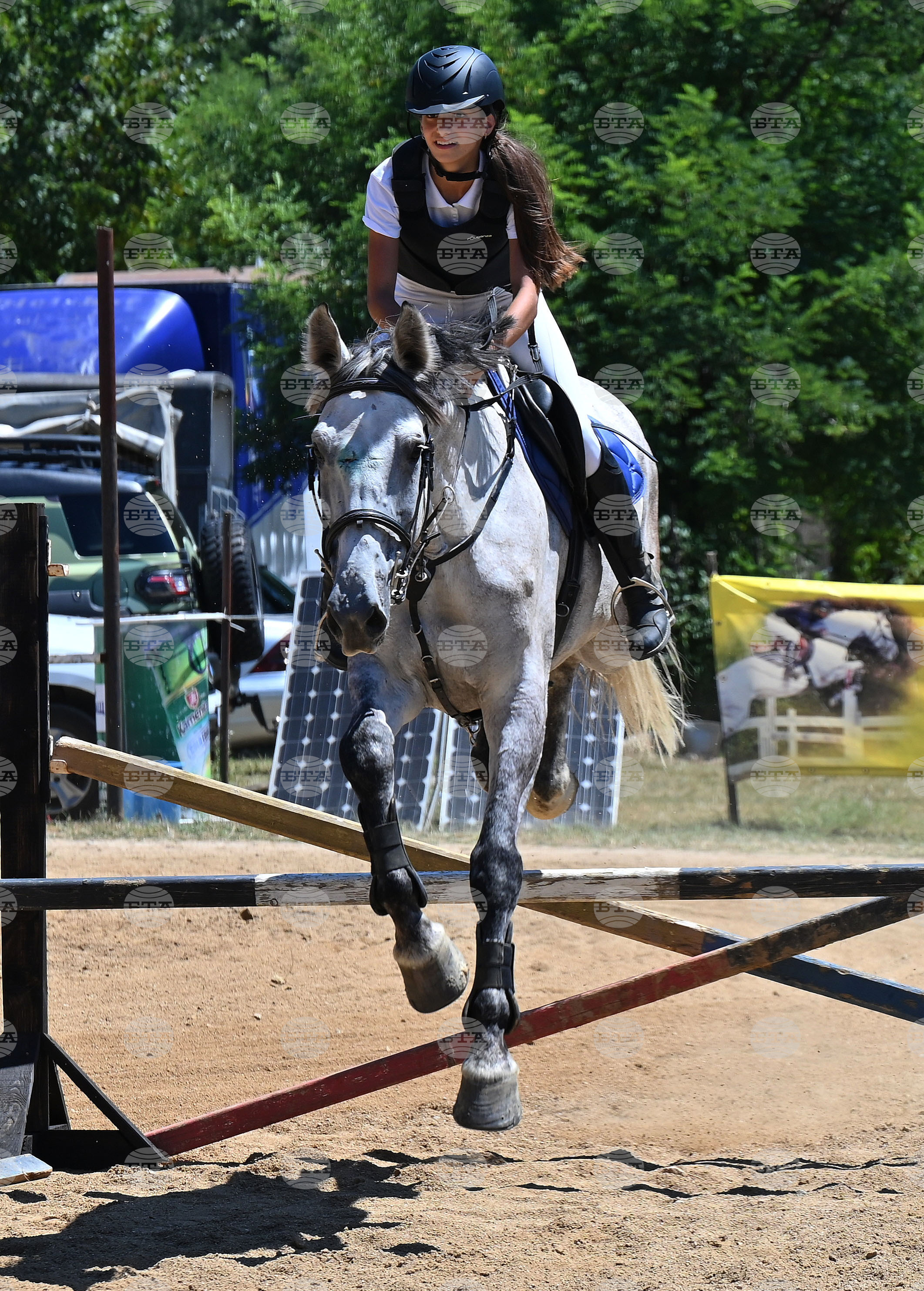 Вършец - конни състезания