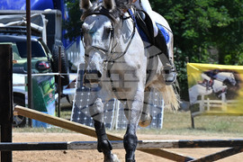 Вършец - конни състезания
