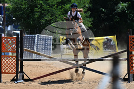 Вършец - конни състезания