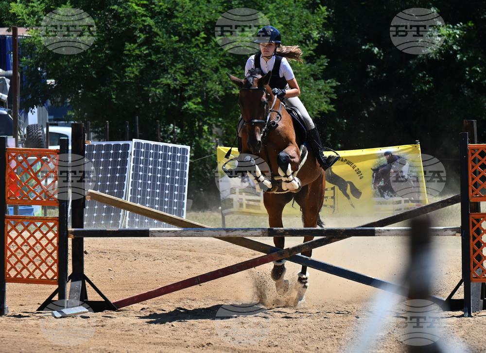 Вършец - конни състезания