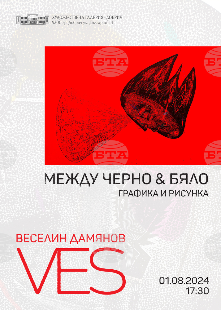 Художествена галерия - Добрич представя изложбата "Между черно и бяло - графика и рисунка" на Веселин Дамянов - Ves