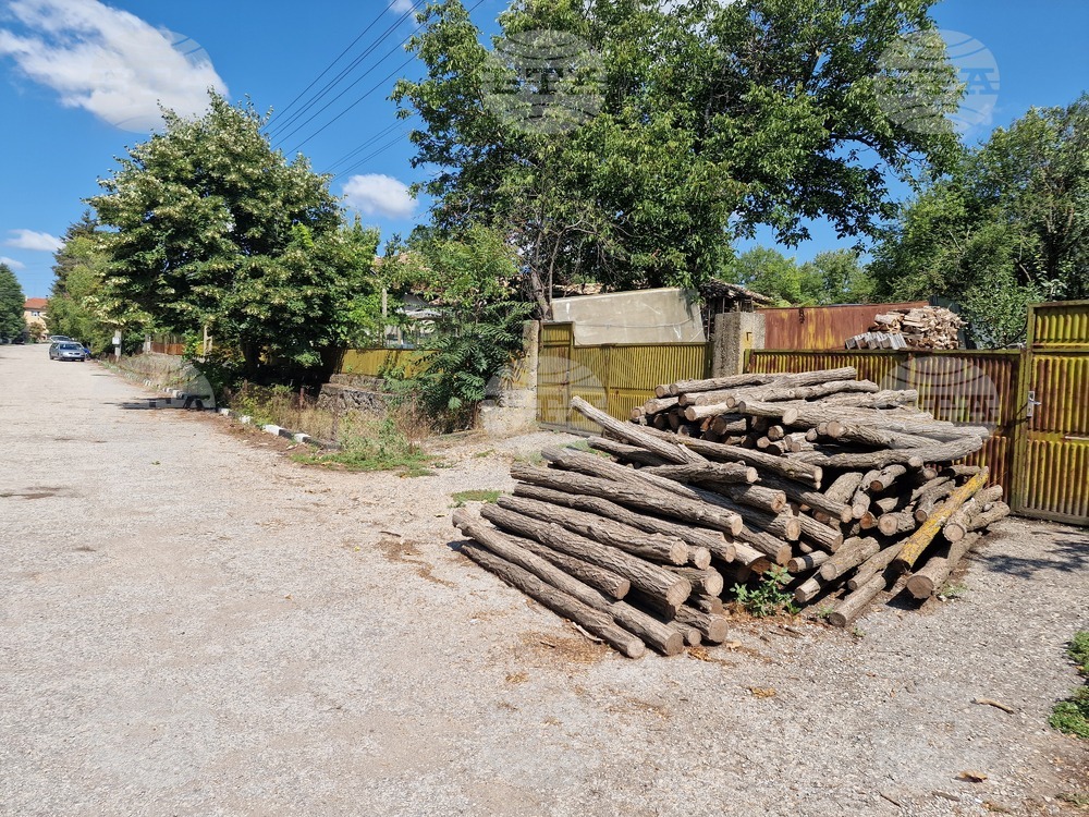 Посегателствата в горските територии у нас са намалели с 60 на сто през 2024 г. на годишна база, сочат данни на МЗХ