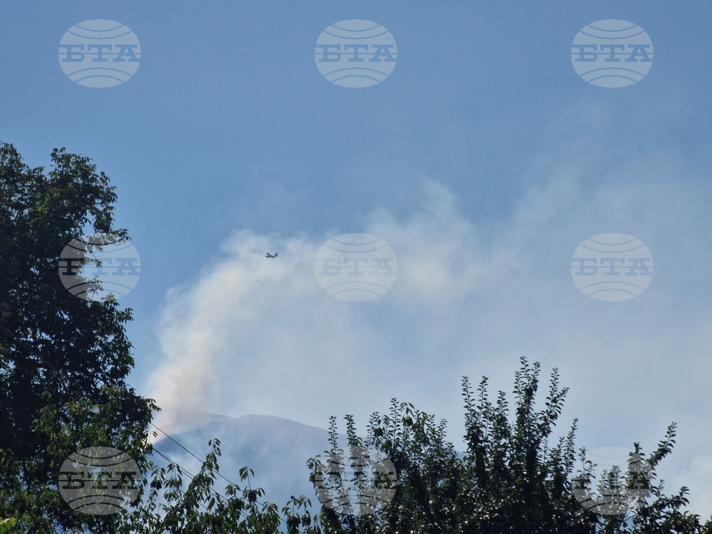 Петрич - българо-гръцка граница - пожар