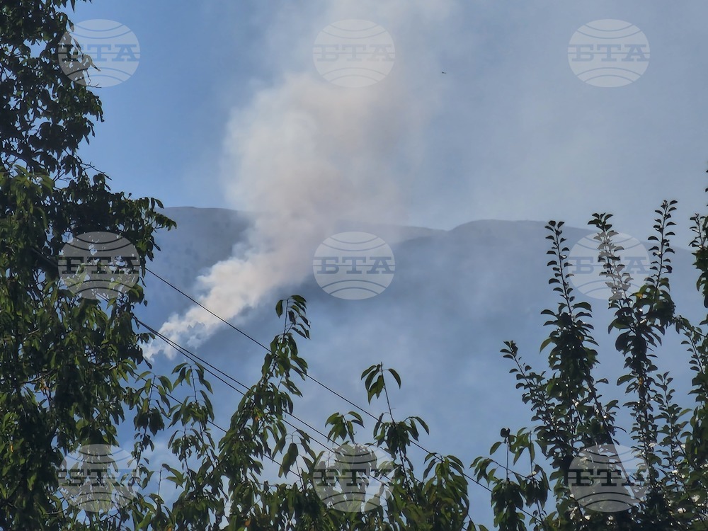 Петрич - българо-гръцка граница - пожар