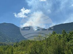 Снимка: МВР