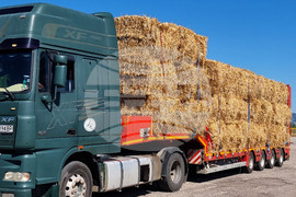 Село Слаковци - камиони със слама, сено и люцерна