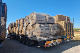 Село Слаковци - камиони със слама, сено и люцерна